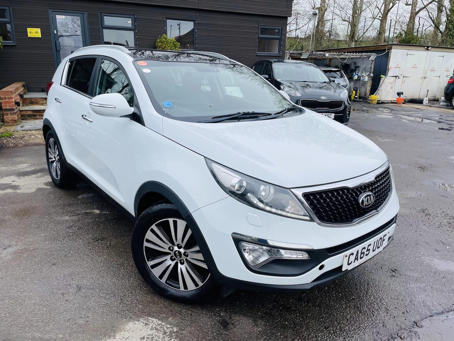 Used Kia Sportage 2016 for sale - 77888784: Photo 3