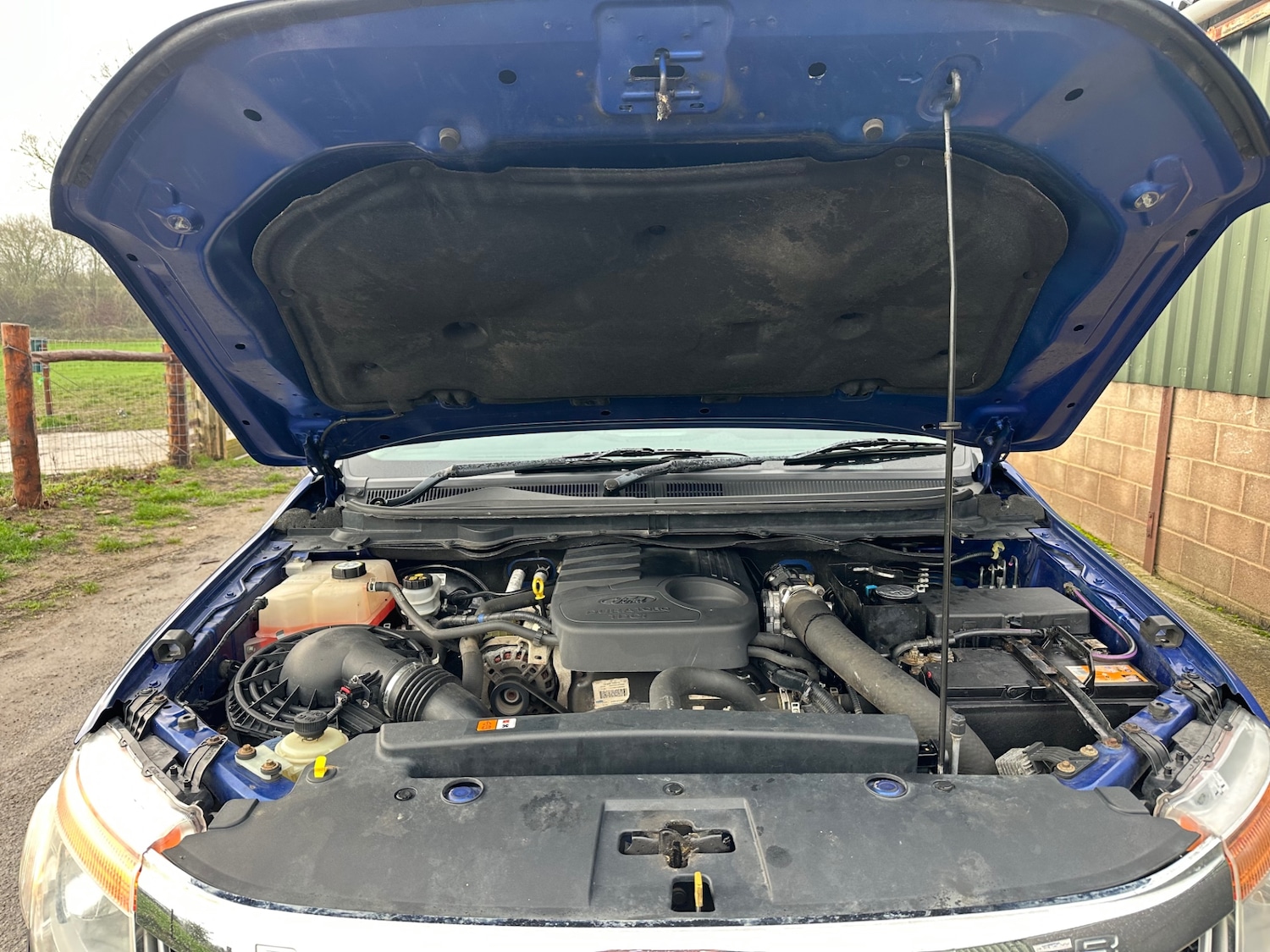 Used Ford Ranger 2015 for sale - 77019147: Photo 20