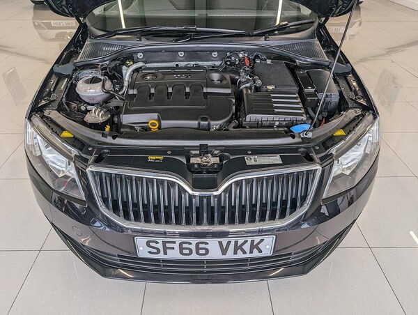 Used Skoda Octavia 2016 for sale - 76074384: Photo 5