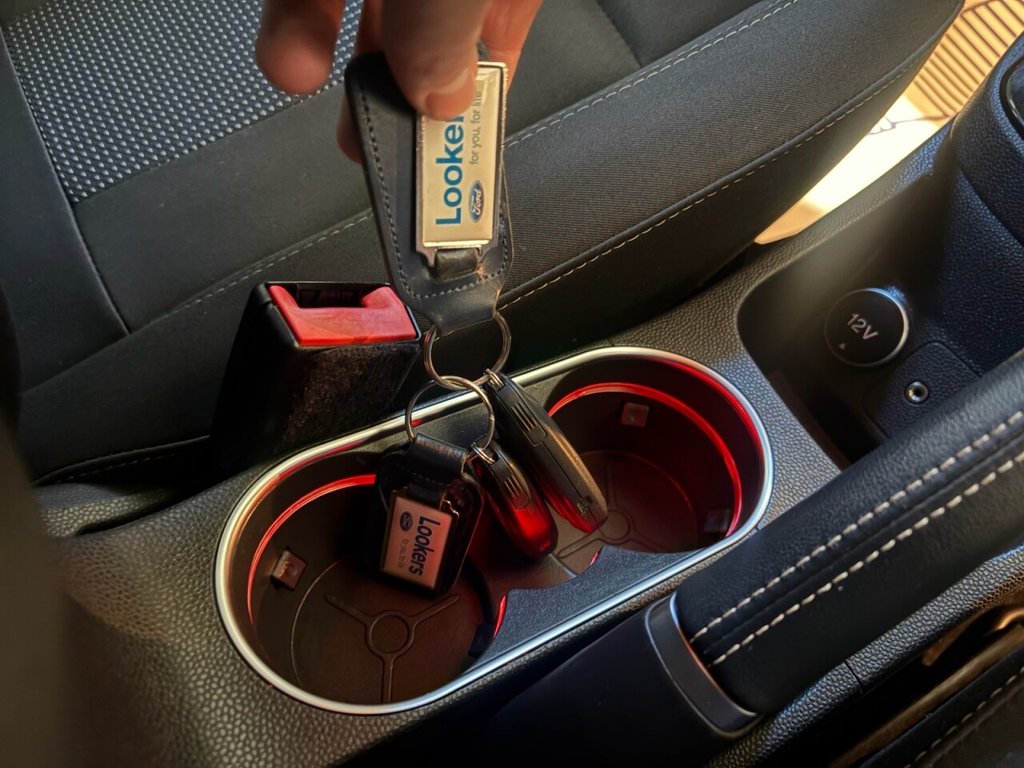 Used Ford Fiesta 2016 for sale - 76698639: Photo 12