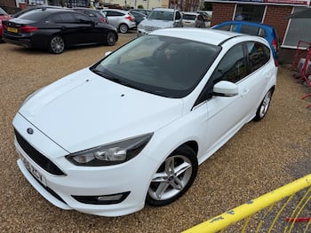 Used Ford Focus 2016 for sale - 79853718: Photo