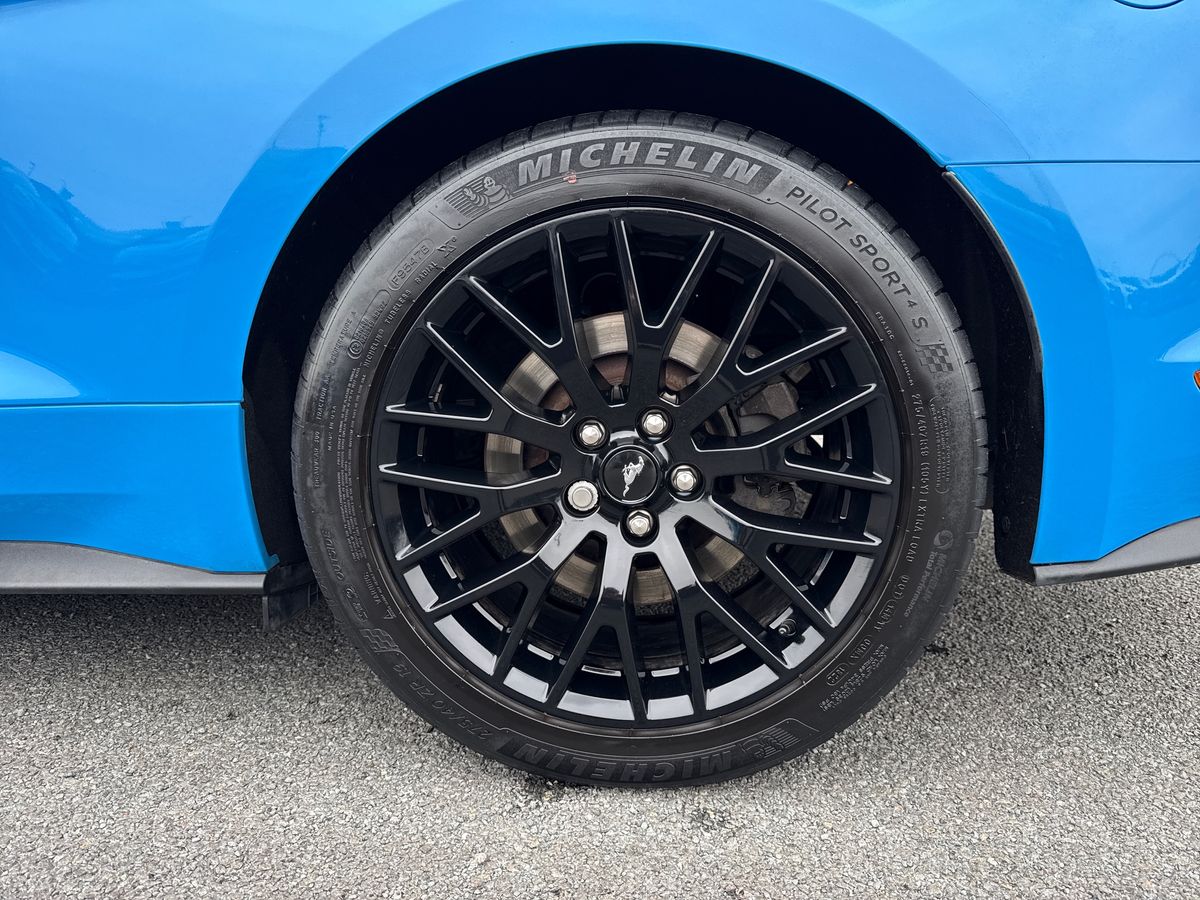 Used Ford Mustang 2022 for sale - 76248597: Photo 11