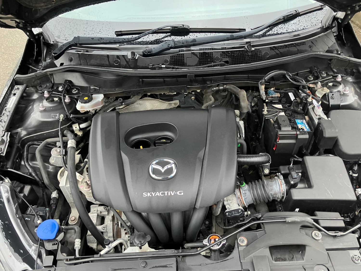 Used Mazda Mazda2 2021 for sale - 76579767: Photo 9