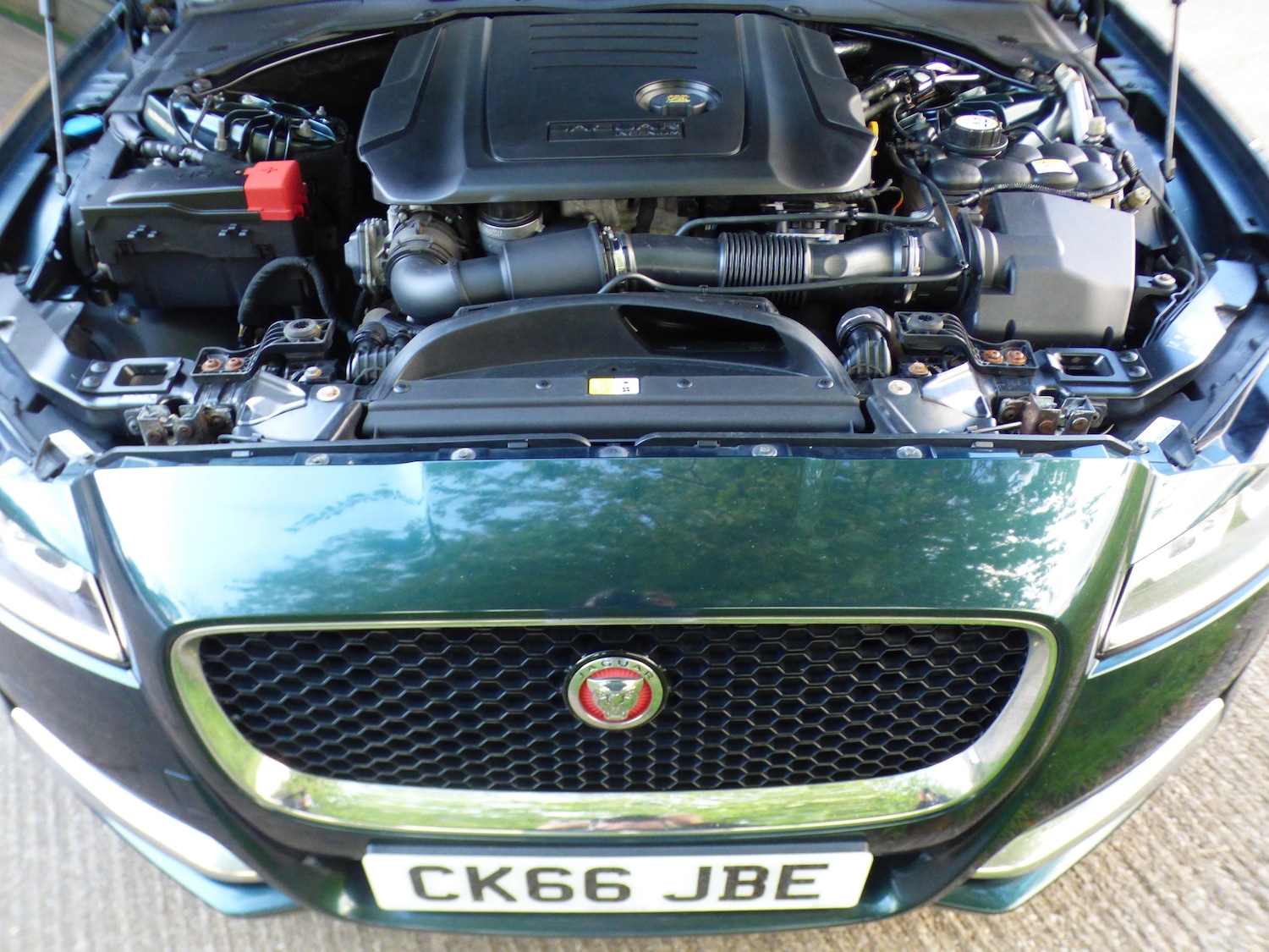 Vehicle 35