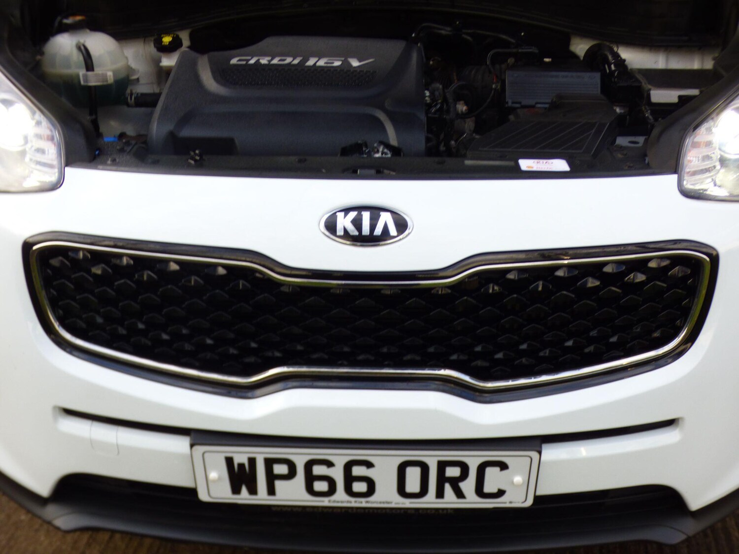Used Kia Sportage 2016 for sale - 77408888: Photo 14