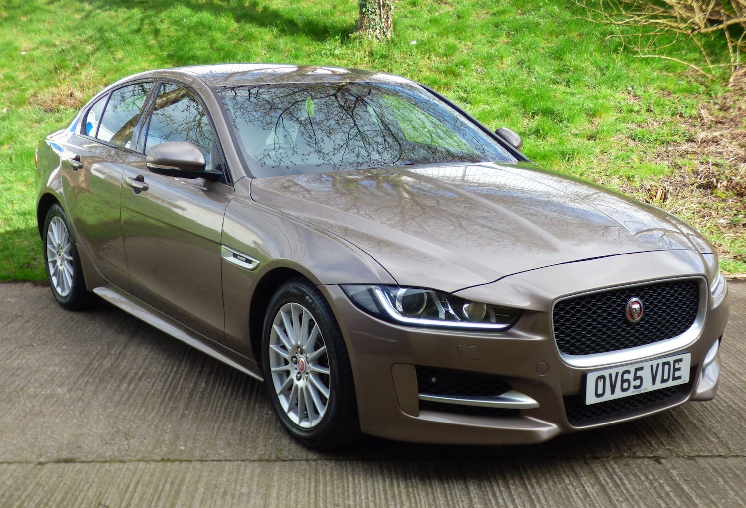 Used Jaguar XE 2015 for sale - 78029064: Photo 4