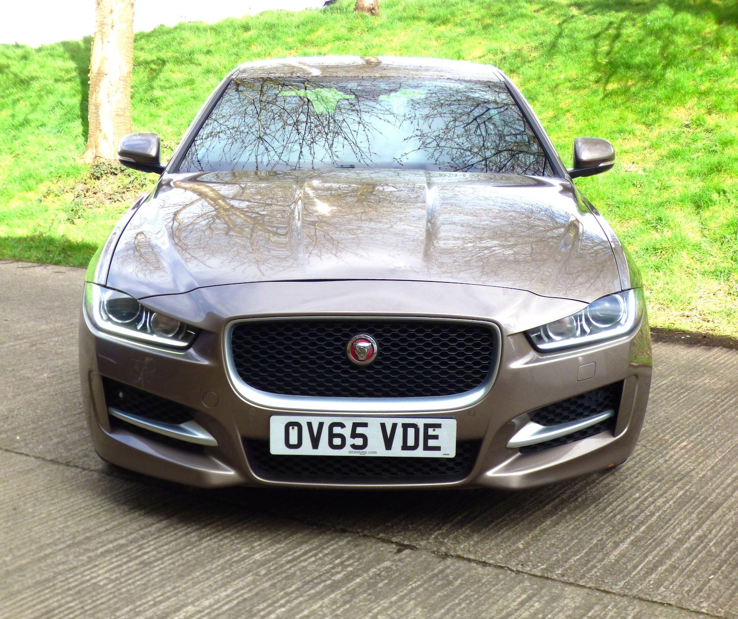 Used Jaguar XE 2015 for sale - 78029064: Photo 8