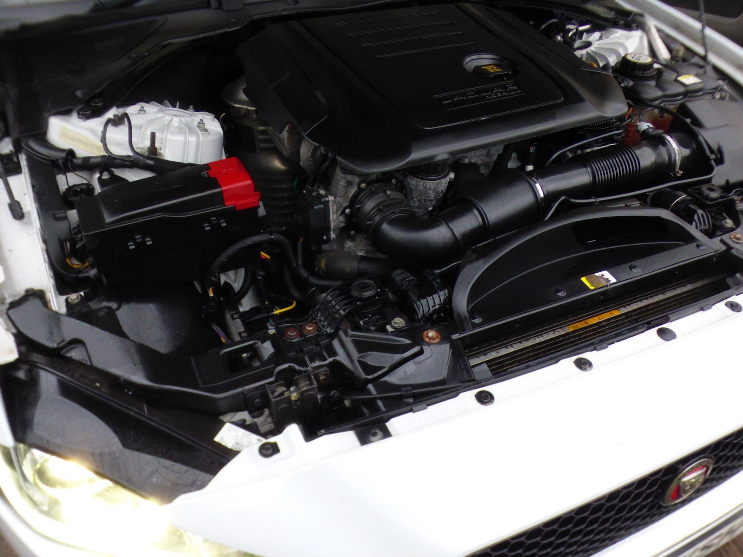 Used Jaguar XE 2016 for sale - 76896413: Photo 21