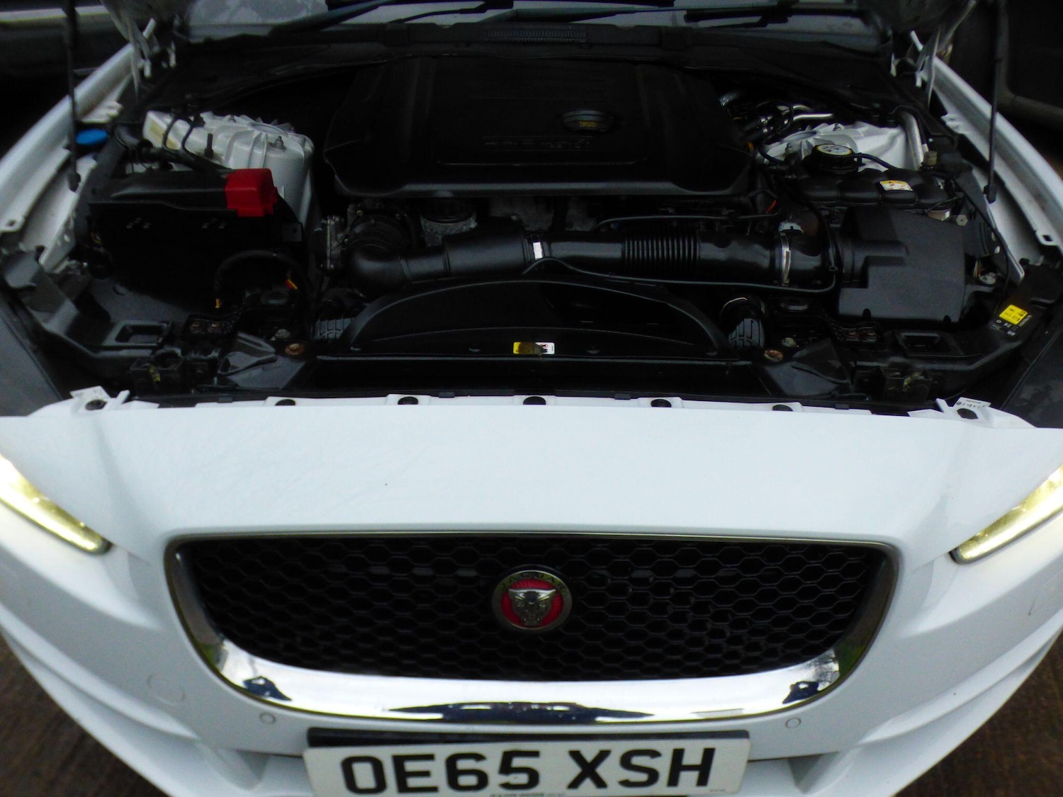 Used Jaguar XE 2016 for sale - 76896413: Photo 35