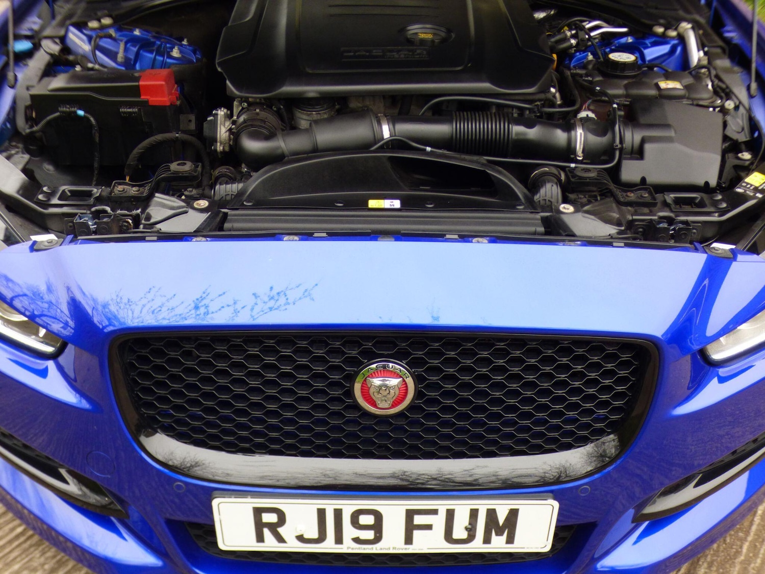 Used Jaguar XE 2019 for sale - 78011872: Photo 14