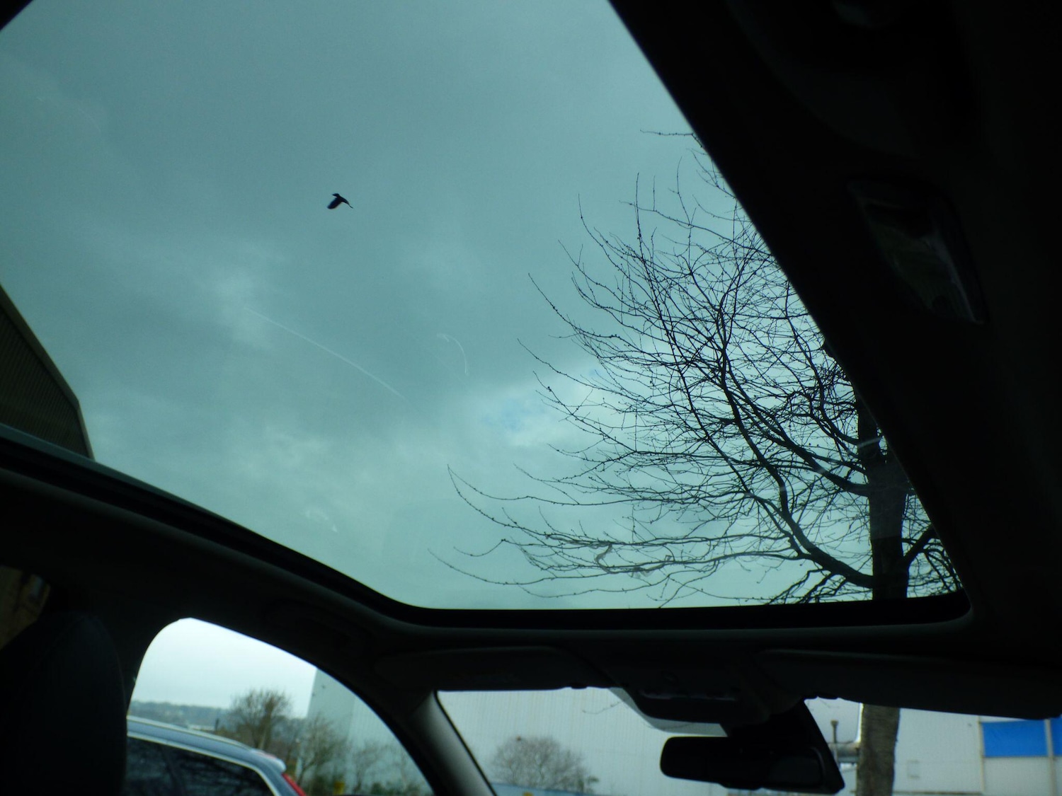 Used Nissan Qashqai 2019 for sale - 77804949: Photo 48