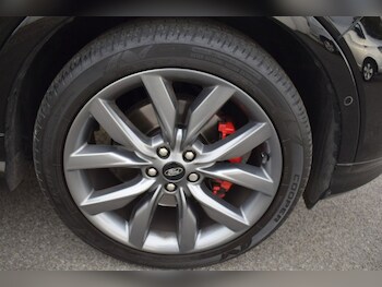 Used Ford Kuga 2019 for sale - 77276618: Photo