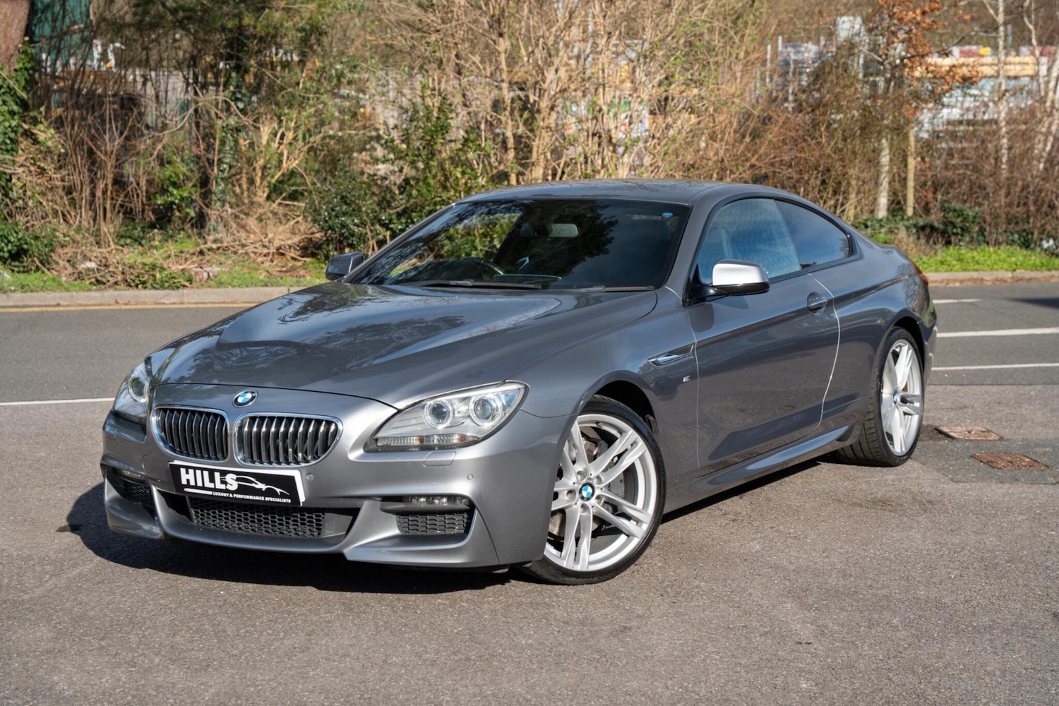 Used BMW 6 Series for sale - 77729119: Photo 1
