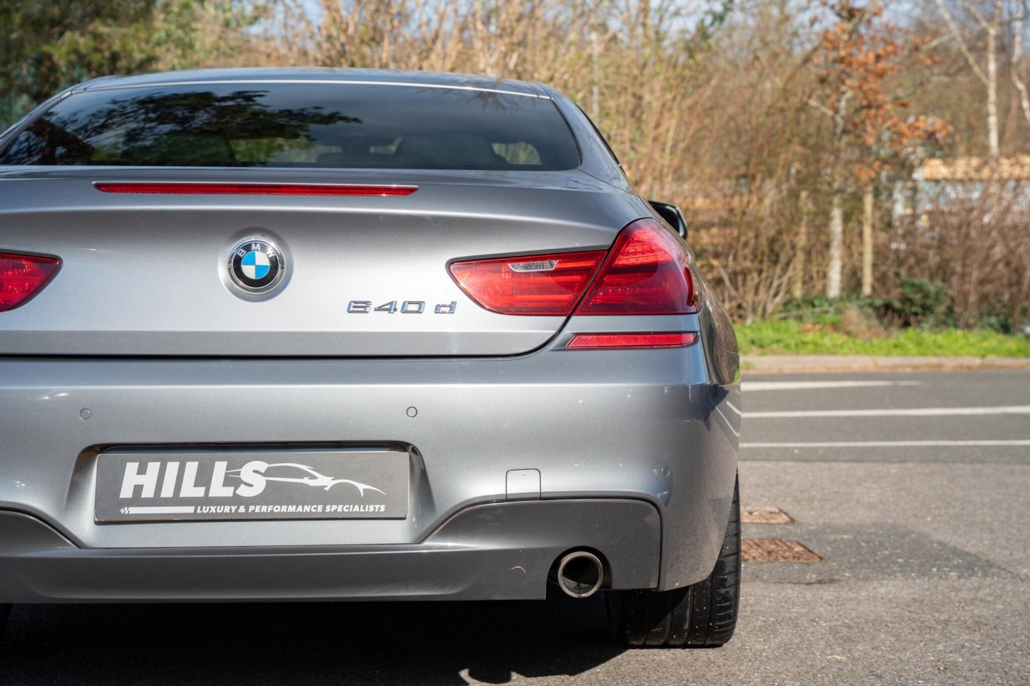 Used BMW 6 Series for sale - 77729119: Photo 8