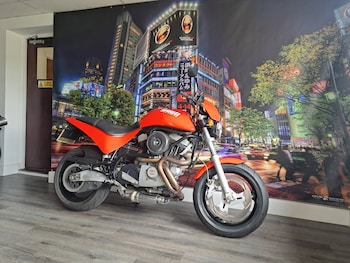 Used BUELL M2 1999 for sale - bike-70422337: Photo