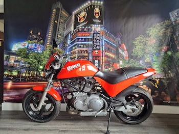 Used BUELL M2 1999 for sale - bike-70422337: Photo