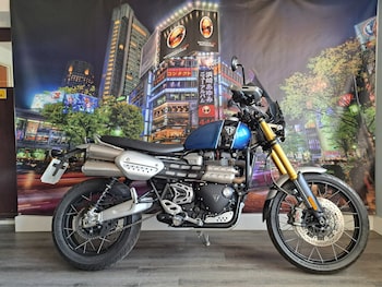 Used Triumph SCRAMBLER 2020 for sale - bike-78053633: Photo