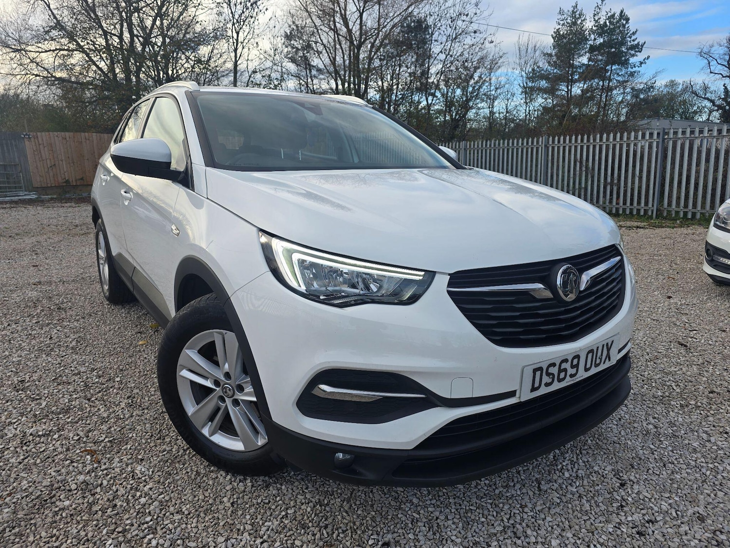Used Vauxhall Grandland X 2019 for sale - 76633967: Photo 1