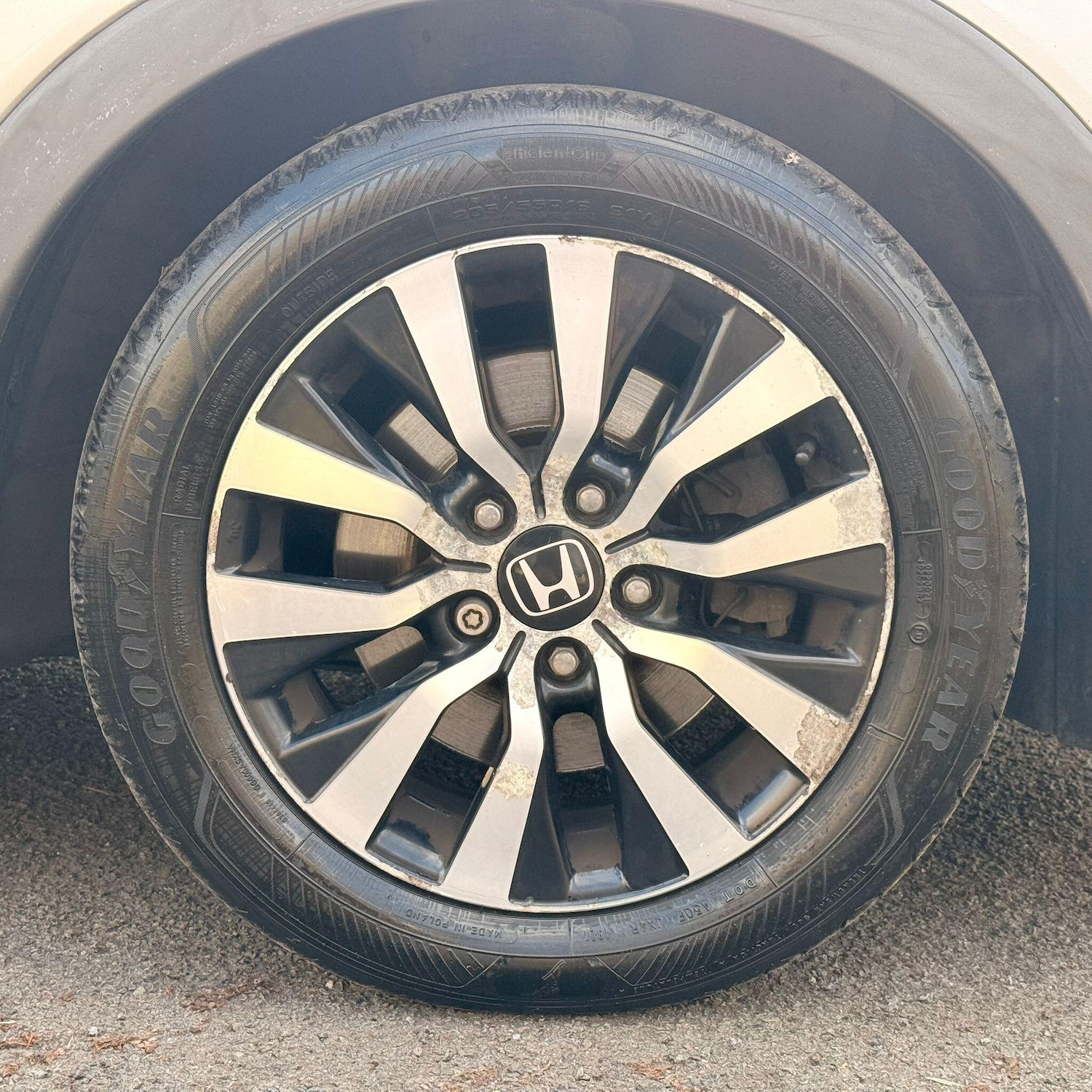 Used Honda Civic for sale - 77769462: Photo 30