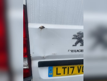 Used Peugeot Boxer 2017 for sale - 76992705: Photo