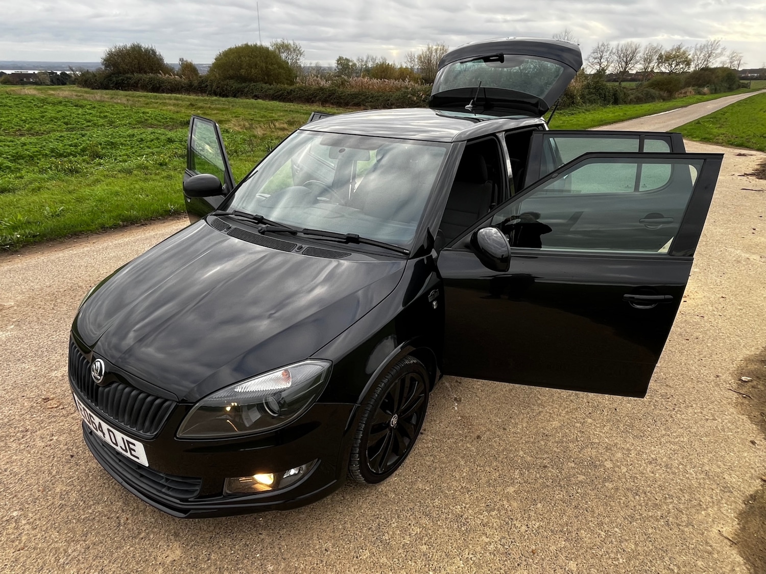 Used Skoda Fabia 2014 for sale - 76615946: Photo 22