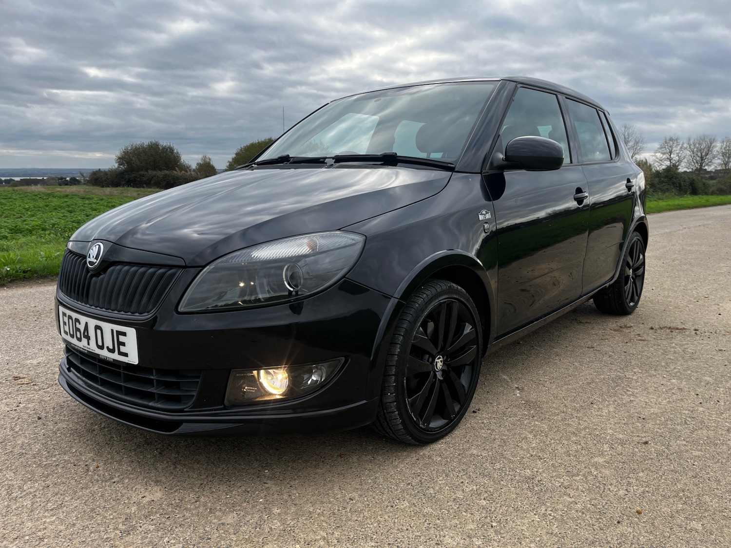 Used Skoda Fabia 2014 for sale - 76615946: Photo 3