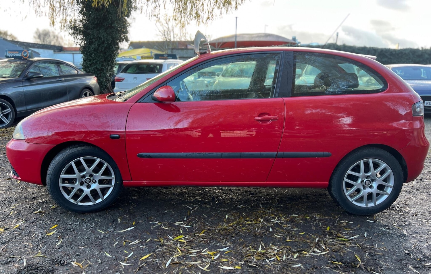 Used SEAT Ibiza 2007 for sale - 76899604: Photo 10