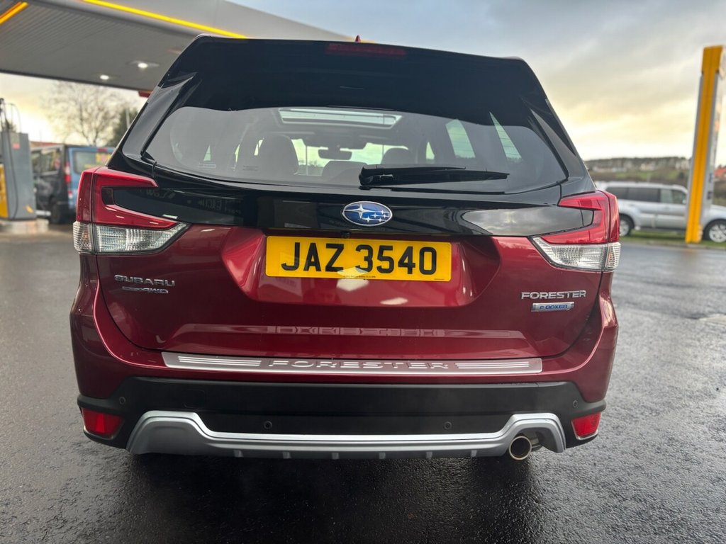 Used Subaru Forester 2023 for sale - 77171964: Photo 11