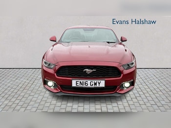 Used Ford Mustang 2016 for sale - 77526847: Photo