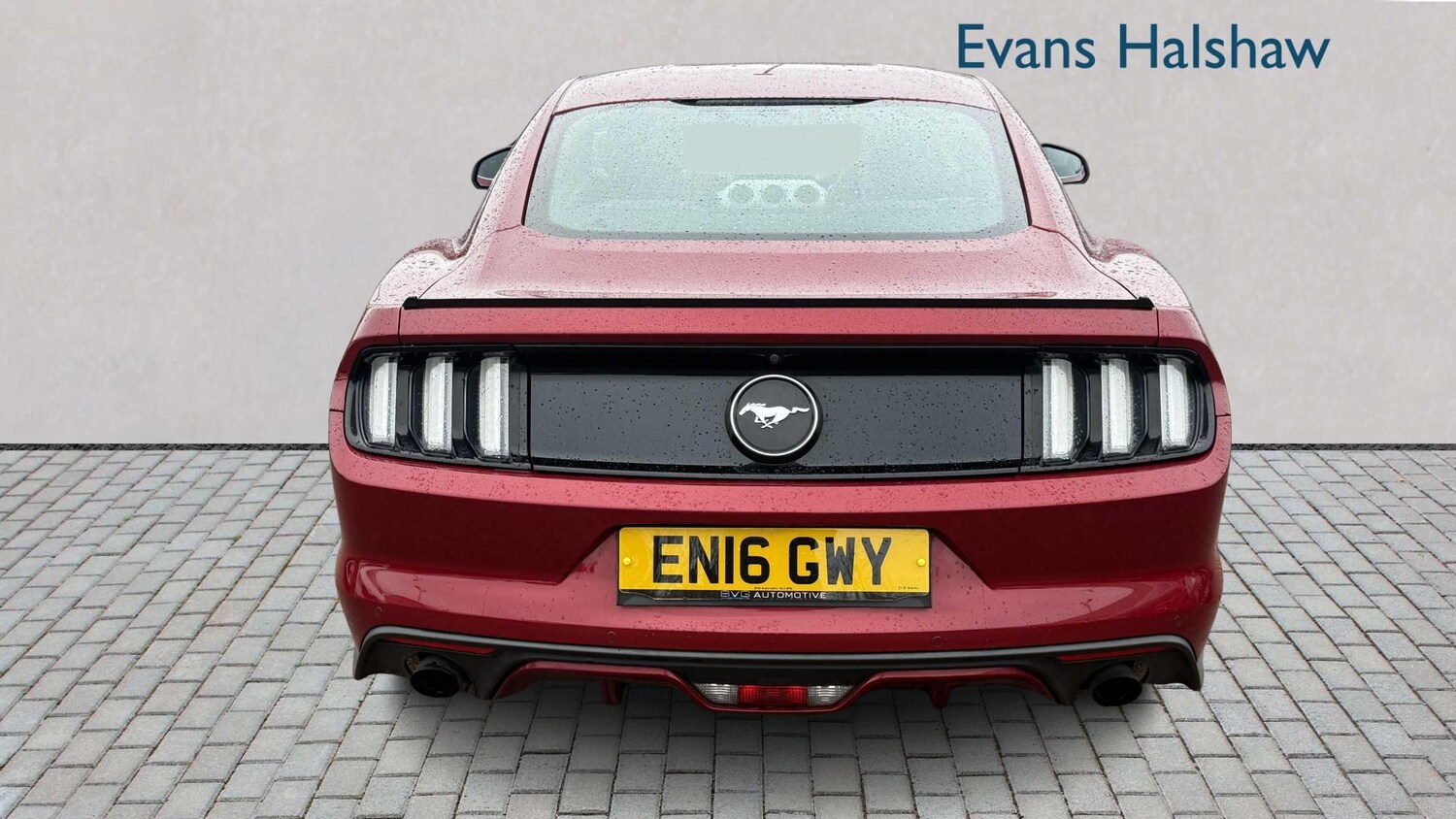 Used Ford Mustang 2016 for sale - 77526847: Photo 6