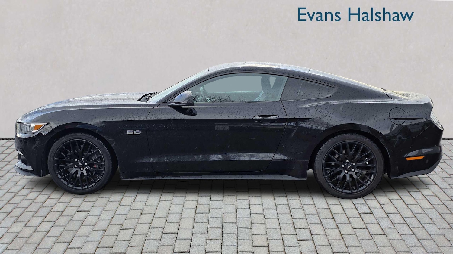 Used Ford Mustang 2016 for sale - 76624587: Photo 5