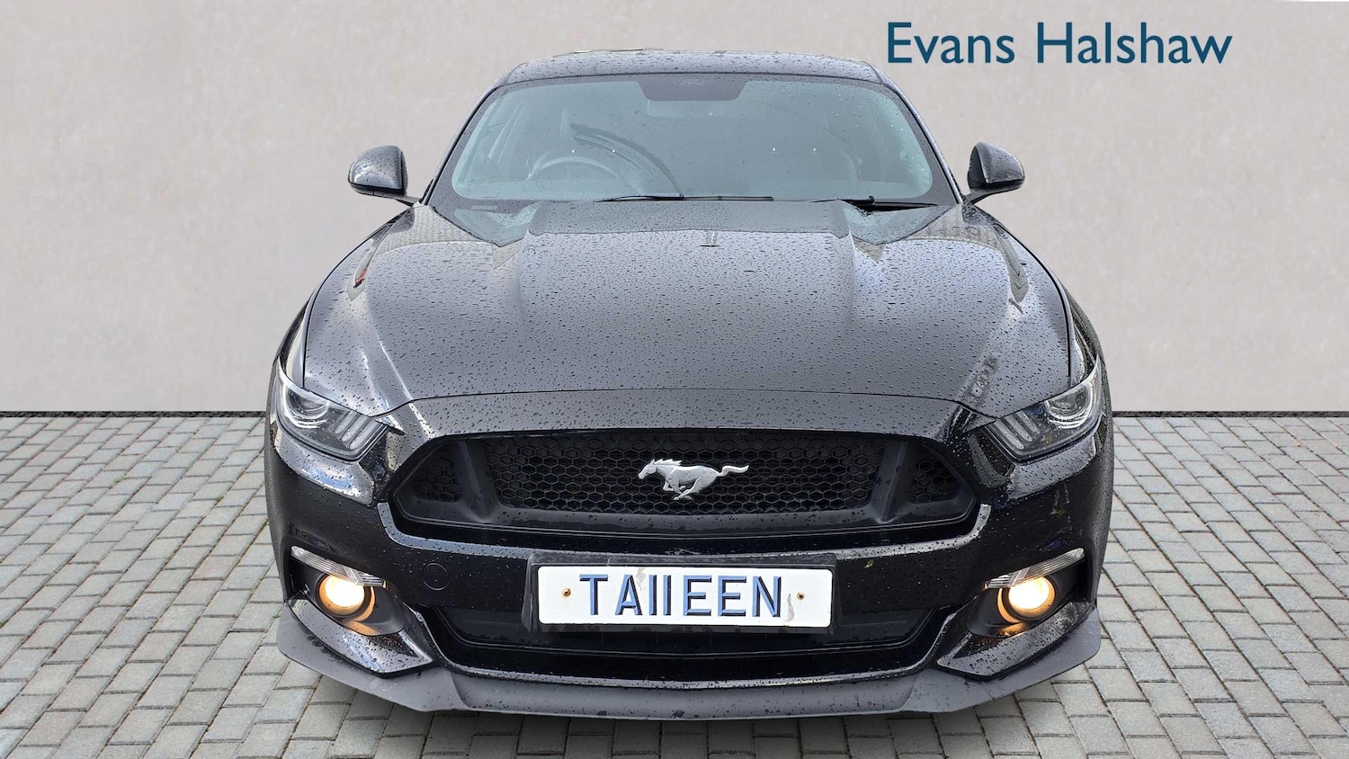 Used Ford Mustang 2016 for sale - 76624587: Photo 6