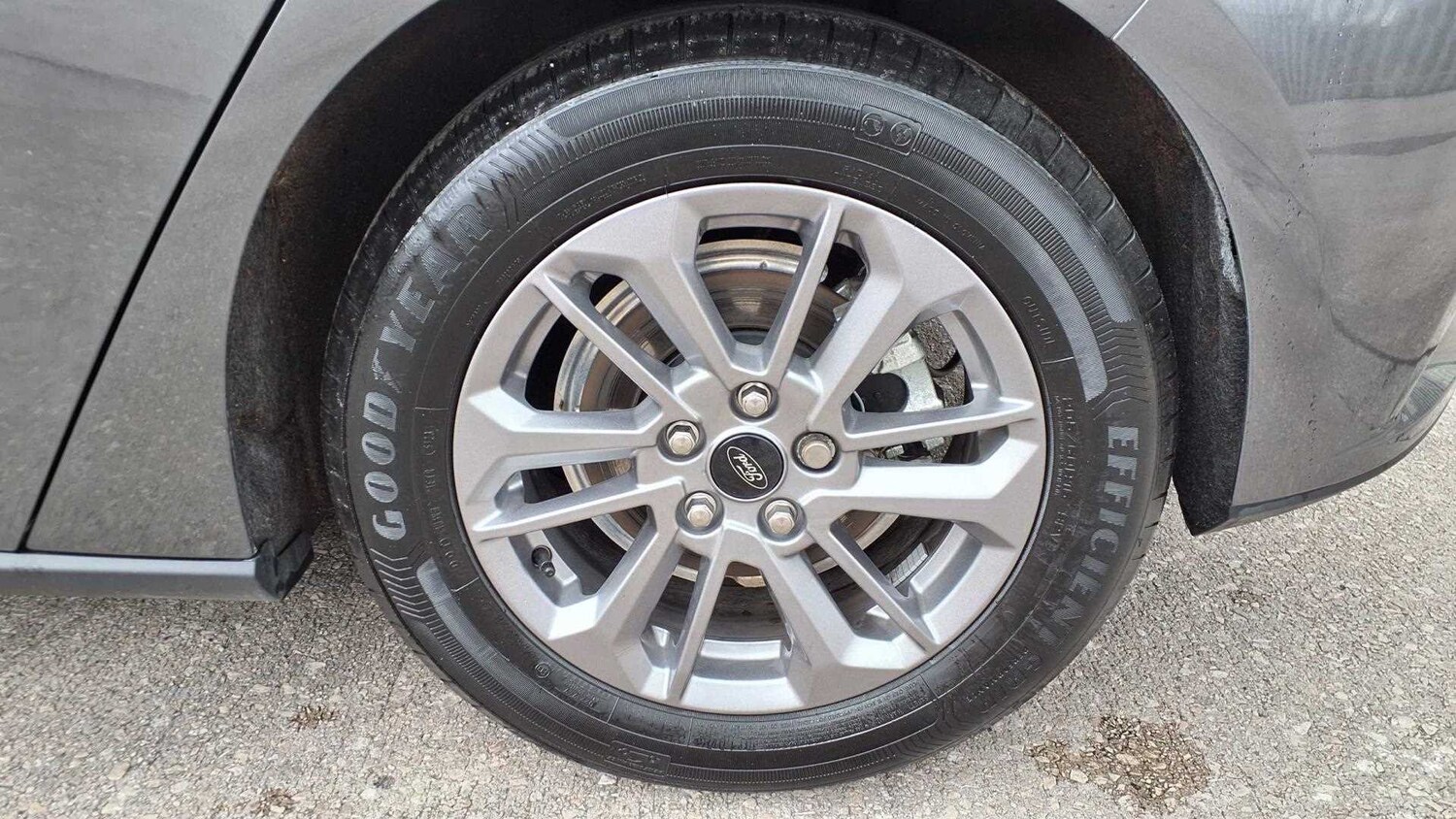 Used Ford Focus 2024 for sale - 77472523: Photo 9