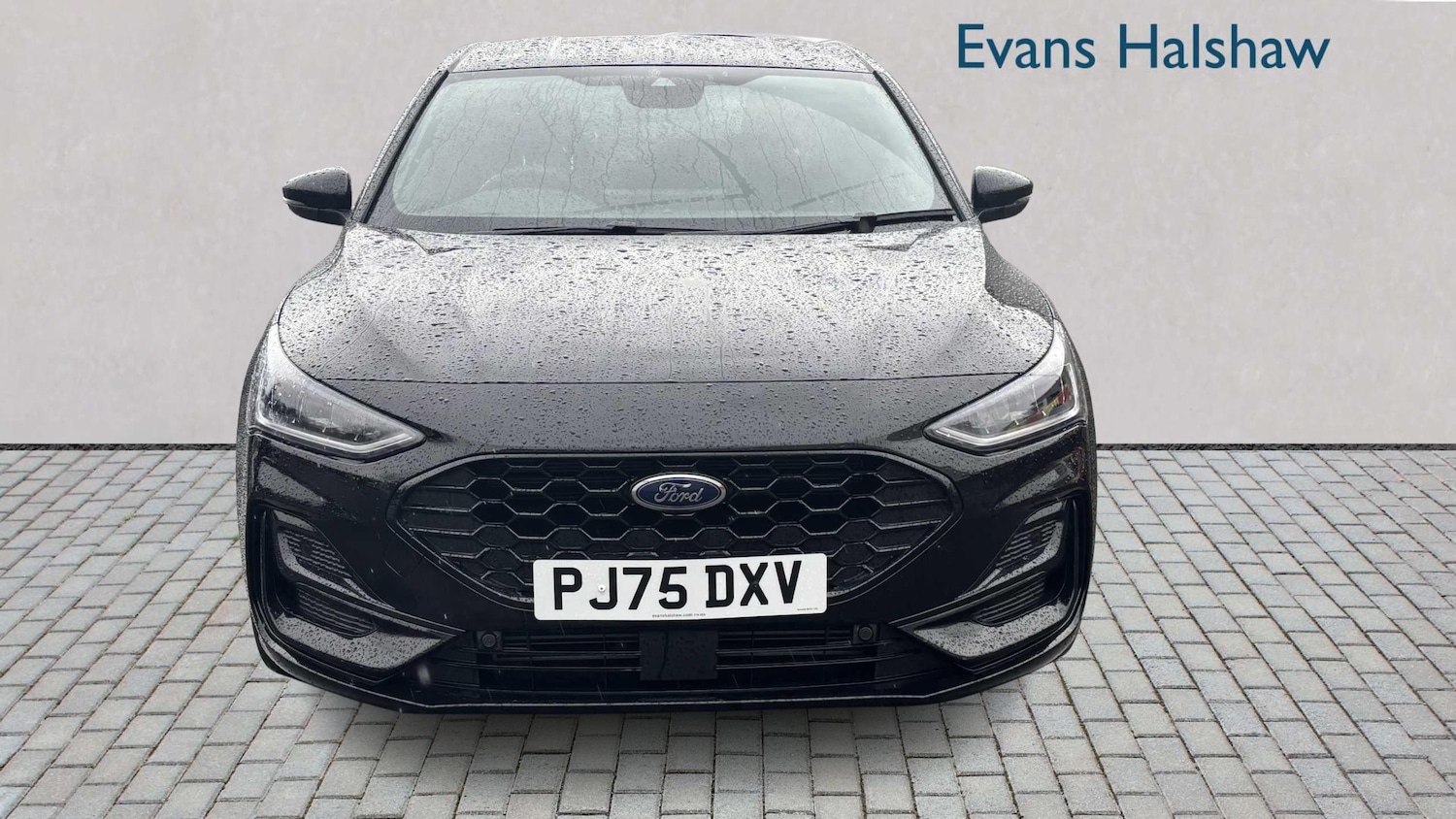 Used Ford Focus 2025 for sale - 77472499: Photo 3