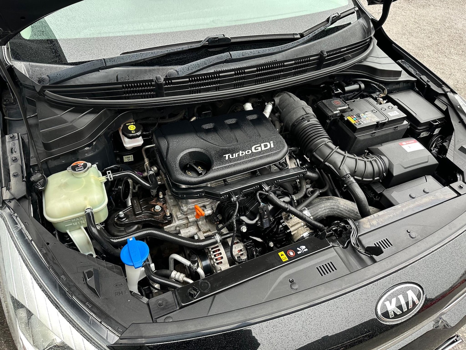 Used Kia Rio 2018 for sale - 76513151: Photo 36