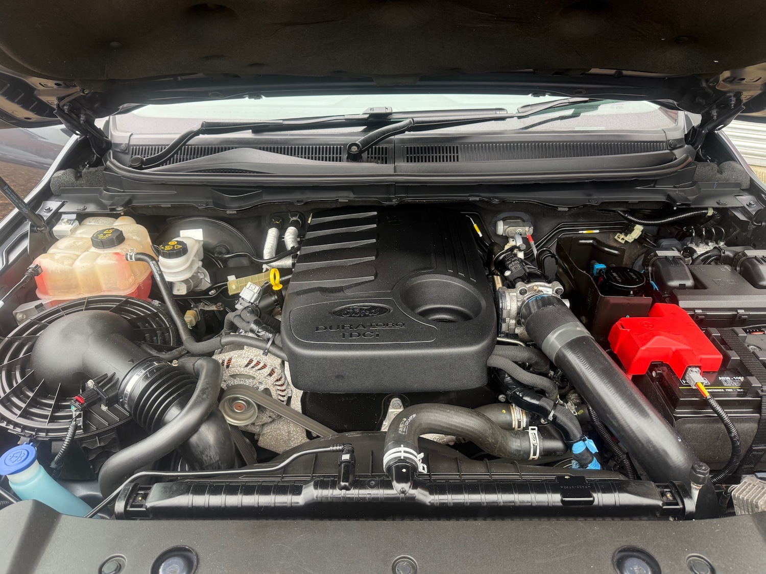 Used Ford Ranger 2016 for sale - 77502598: Photo 13