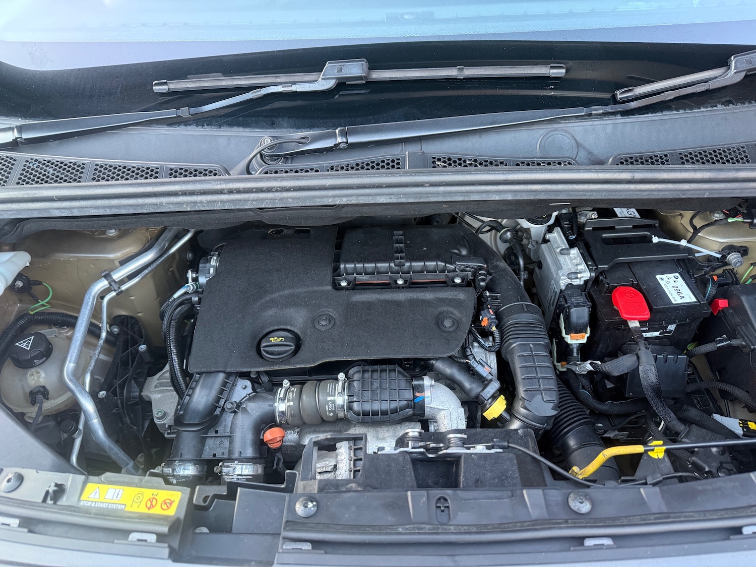 Used Citroen Berlingo 2019 for sale - 76598808: Photo 14