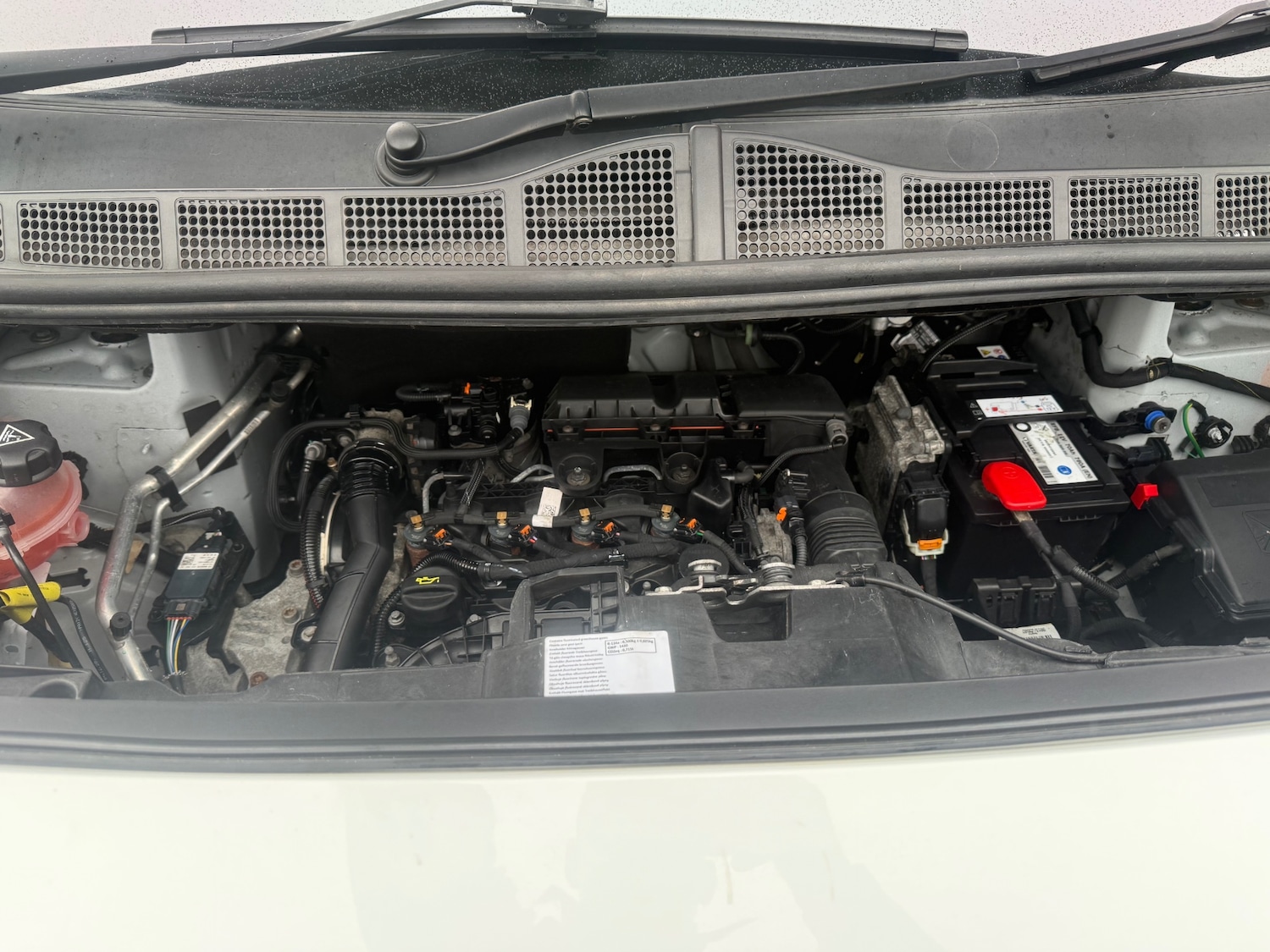 Used Vauxhall Vivaro 2021 for sale - 77502606: Photo 13