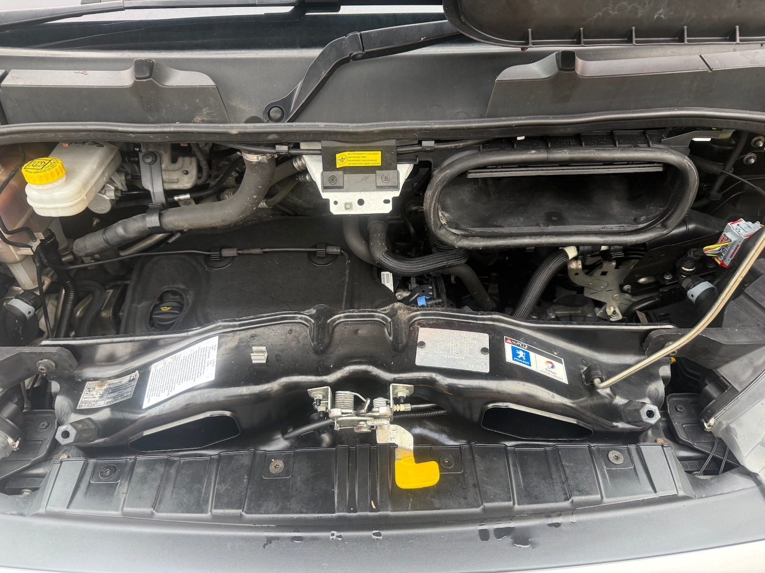 Used Peugeot Boxer 2019 for sale - 77502708: Photo 13