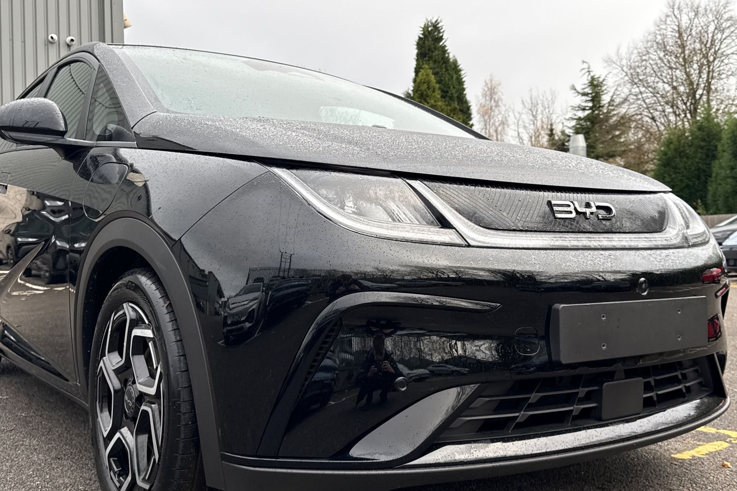 Used BYD Dolphin 2025 for sale - 76604116: Photo 16