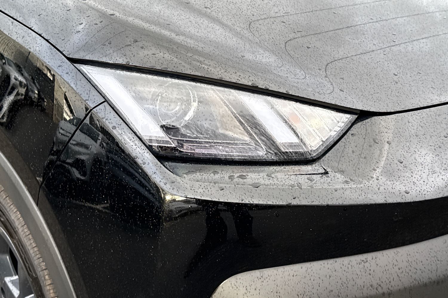 Used BYD Dolphin 2025 for sale - 76604165: Photo 16