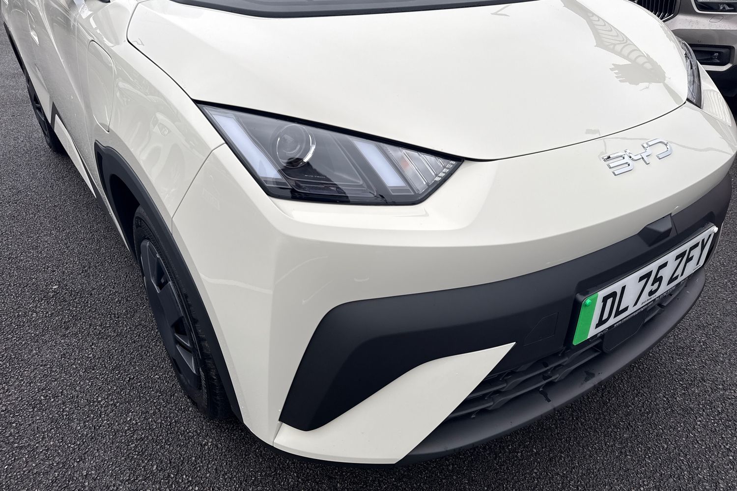 Used BYD Dolphin 2025 for sale - 77374374: Photo 17