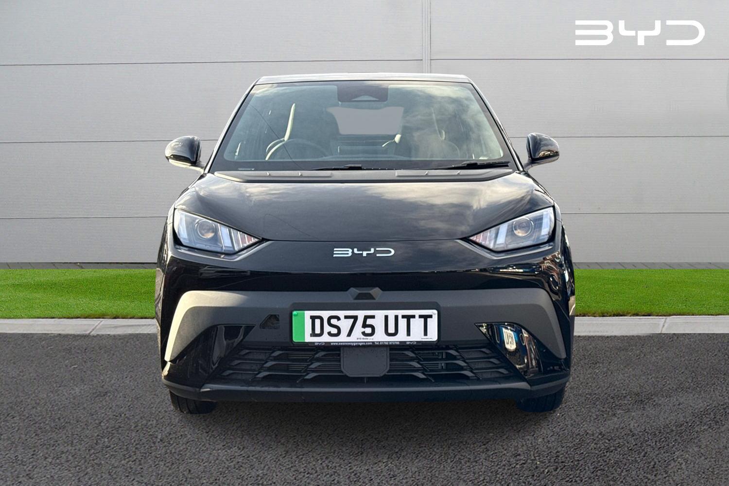 Used BYD Dolphin 2025 for sale - 76916548: Photo 5