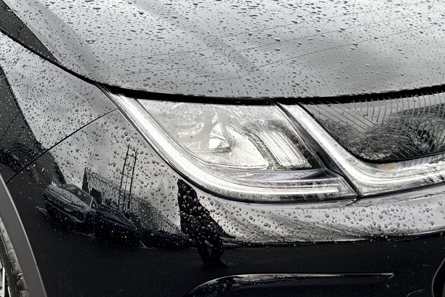 Used BYD Dolphin 2025 for sale - 76604118: Photo 16