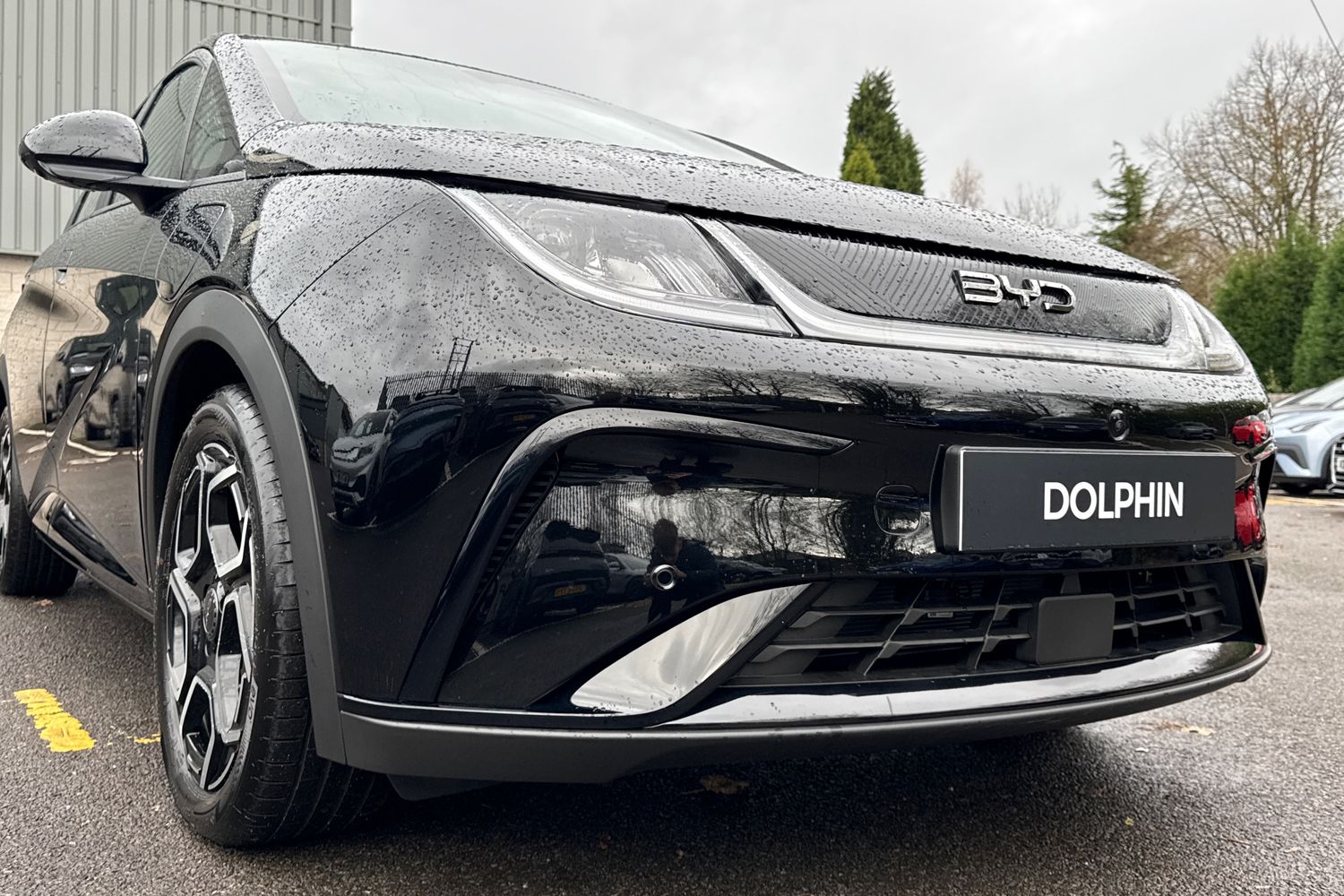 Used BYD Dolphin 2025 for sale - 76604118: Photo 25