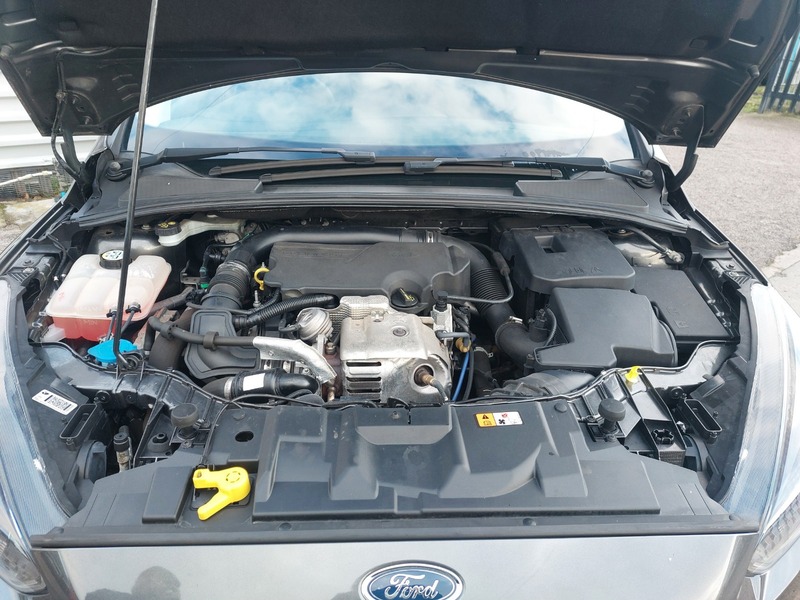 Used Ford Focus 2015 for sale - 77213209: Photo 20