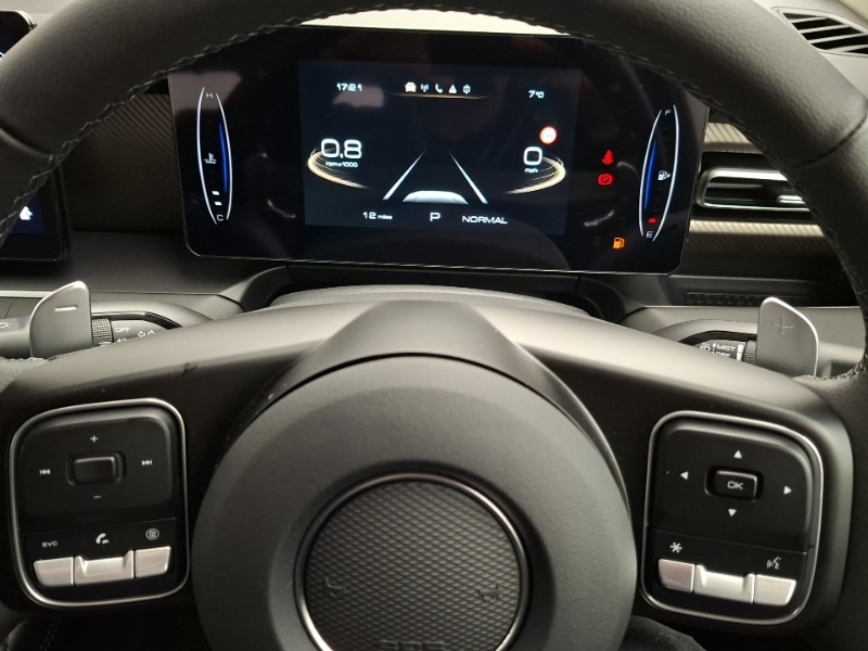 Used GWM POER300 2025 for sale - 76987335: Photo 19