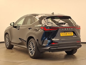 Used Lexus NX 2024 for sale - 79214148: Photo