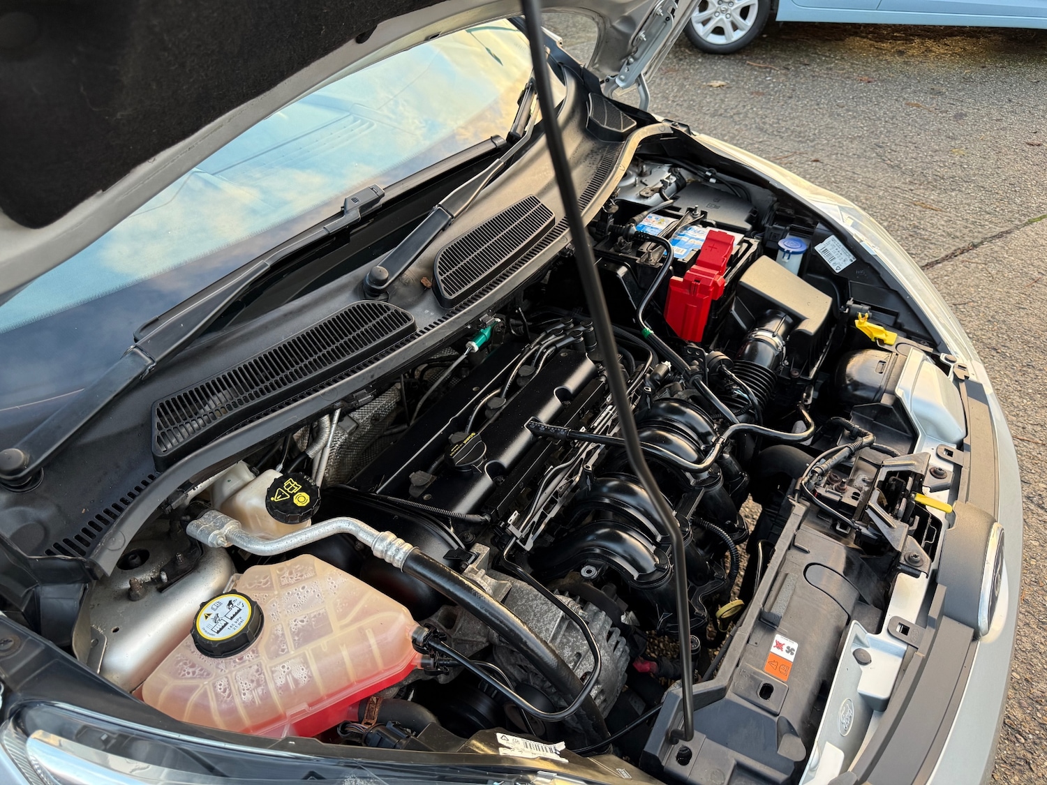 Used Ford Fiesta 2010 for sale - 76877868: Photo 41