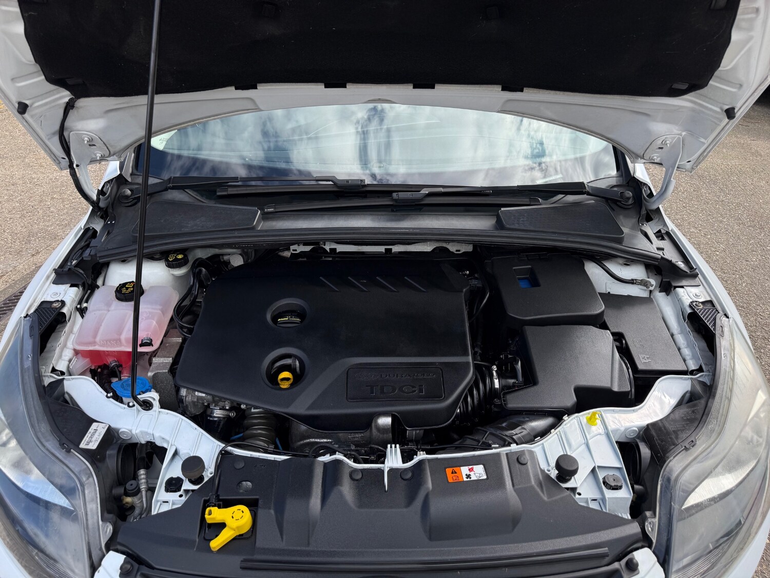 Used Ford Focus 2014 for sale - 78054313: Photo 50